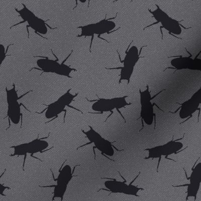 stag-beetle bugs on grey