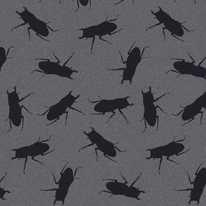 stag-beetle bugs on grey