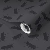 stag-beetle bugs on solid grey