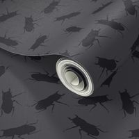 stag-beetle bugs on solid grey