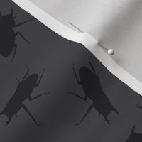 stag-beetle bugs on solid grey