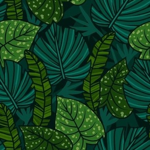 Night tropical leaves