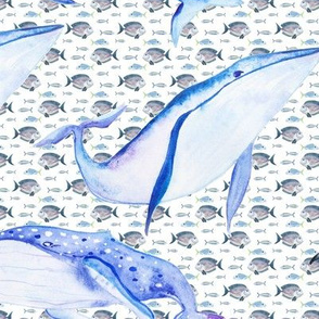 Whales Dolphins Fish Watercolor