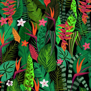 Tropical Nights Medium