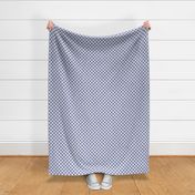 Gingham  Small | Medium Warm Blue + White-ed