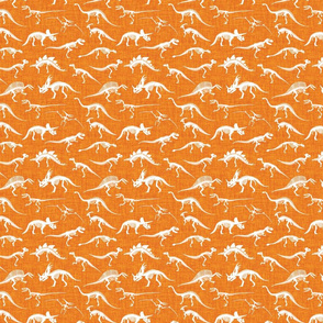orange small dinosaur bones