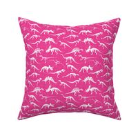 hot pink small dinosaur bones