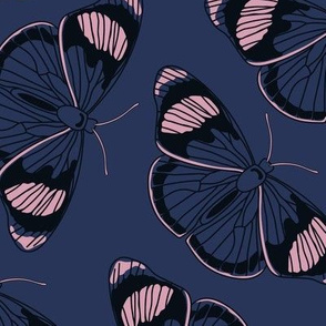 Midnight Butterflies // LARGE