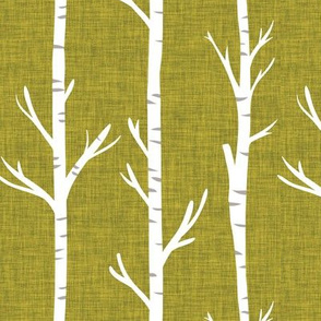 2-8 linen birch trees