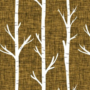 12-16 linen birch trees