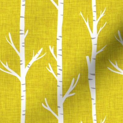 yellow linen birch trees