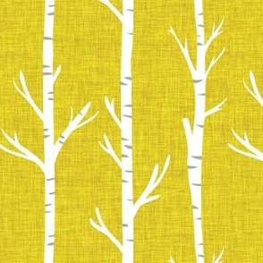 yellow linen birch trees