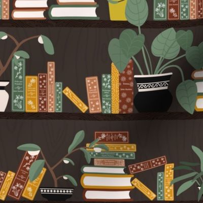 Books and Flower Pots on Bookshelves - dark