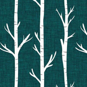 spruce linen birch trees