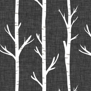 179-13 linen birch trees