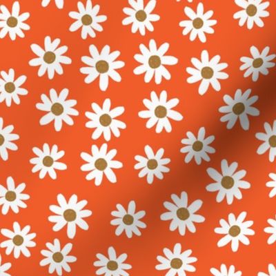 papaya daisies