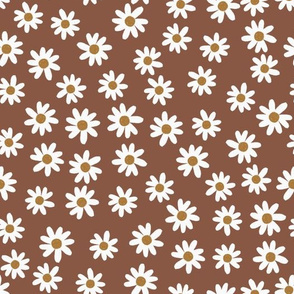 hot cocoa daisies