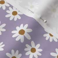 lavender daisies