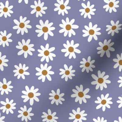 periwinkle daisies