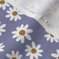 periwinkle daisies