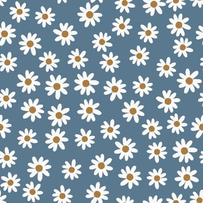 slate daisies