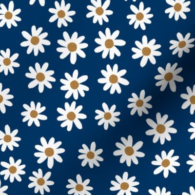 navy daisies