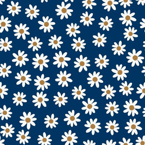 navy daisies