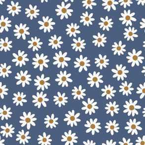 blue jean daisies