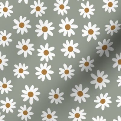 sage daisies