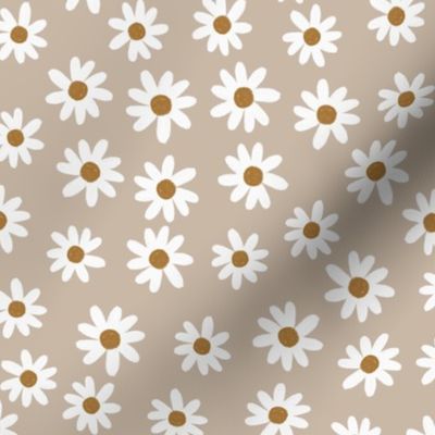 taupe daisies