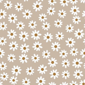 taupe daisies