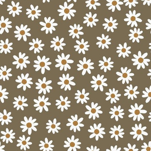 cobble daisies