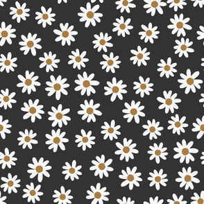 charcoal daisies