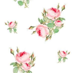 Pink,roses ,flowers pattern 