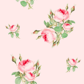 Pink, roses ,flowers pattern 