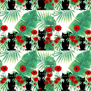 Black Cats and Poppies