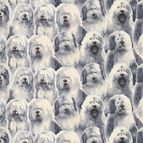 Old English Sheepdogs