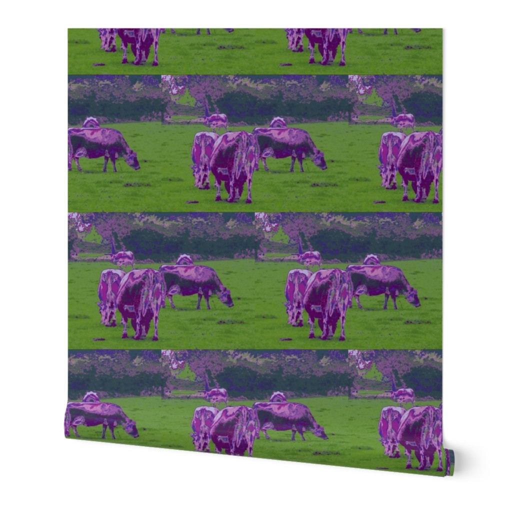 Purple Cows - large