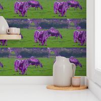 Purple Cows - large