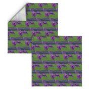 Purple Cows