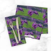 Purple Cows