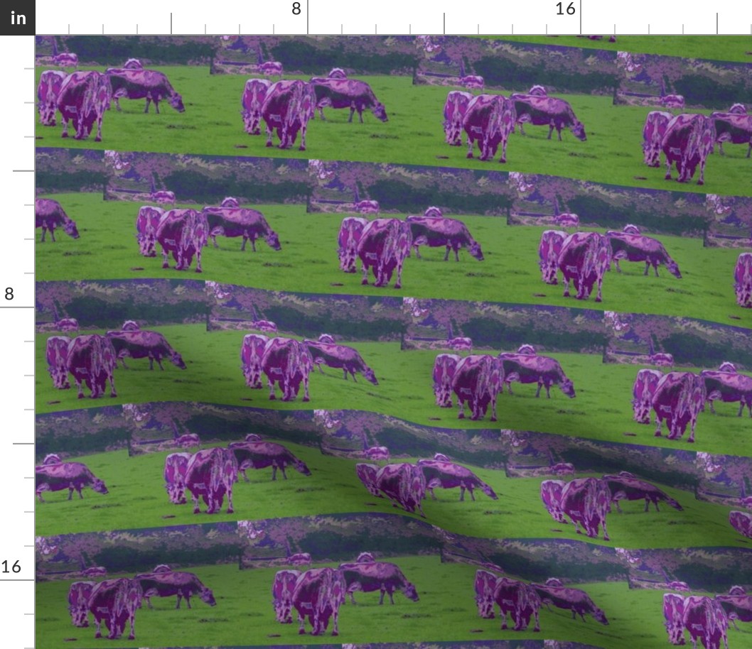 Purple Cows