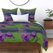 Purple Cows - pillow version