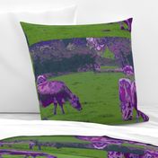 Purple Cows - pillow version