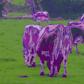 Purple Cows - pillow version