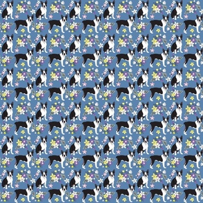 Boston Terriers denim blue background and small yellow pink purple white flowers