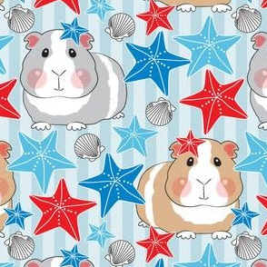 large patriotic guinea pigs with starfish and shells