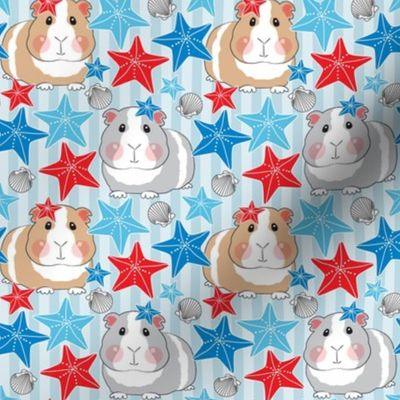 medium patriotic guinea pigs with starfish and shells