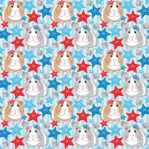 small patriotic guinea pigs with starfish and shells