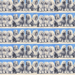 Old English Sheepdogs Border